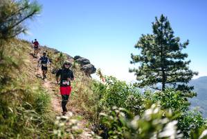 BIB: 
                            <button type="button" onclick="openModal(26608057)" class="btn btn-primary btn-sm float-right btn-popup" data-toggle="modal" data-target=".modal-high-quality">
                        <i class="fas fa-shopping-cart"></i> Add to Cart
                    </button>
                                            <button type="button" onclick="isThisMe(26608057, true)" class="btn btn-success btn-sm float-right btn-popup btn-isme hidden" data-toggle="tooltip" data-placement="bottom" title="นี่คือรูปของคุณใช่ไหม คลิกที่นี่เพื่อเอาเข้าอัลบั้ม">
                        <i class="fas fa-plus"></i> Add to album
                    </button>
                    <button type="button" onclick="isThisMe(26608057, false)" class="btn btn-warning btn-sm float-right btn-popup btn-isnotme hidden">
                        <i class="fas fa-ban"></i> Remove from album
                    </button>